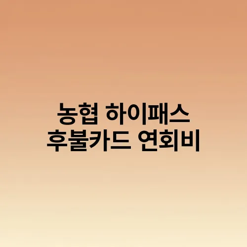 농협 하이패스 후불카드 연회비