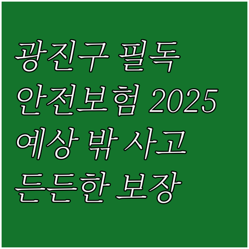 광진구민 필독! 2025 생활안전보험..