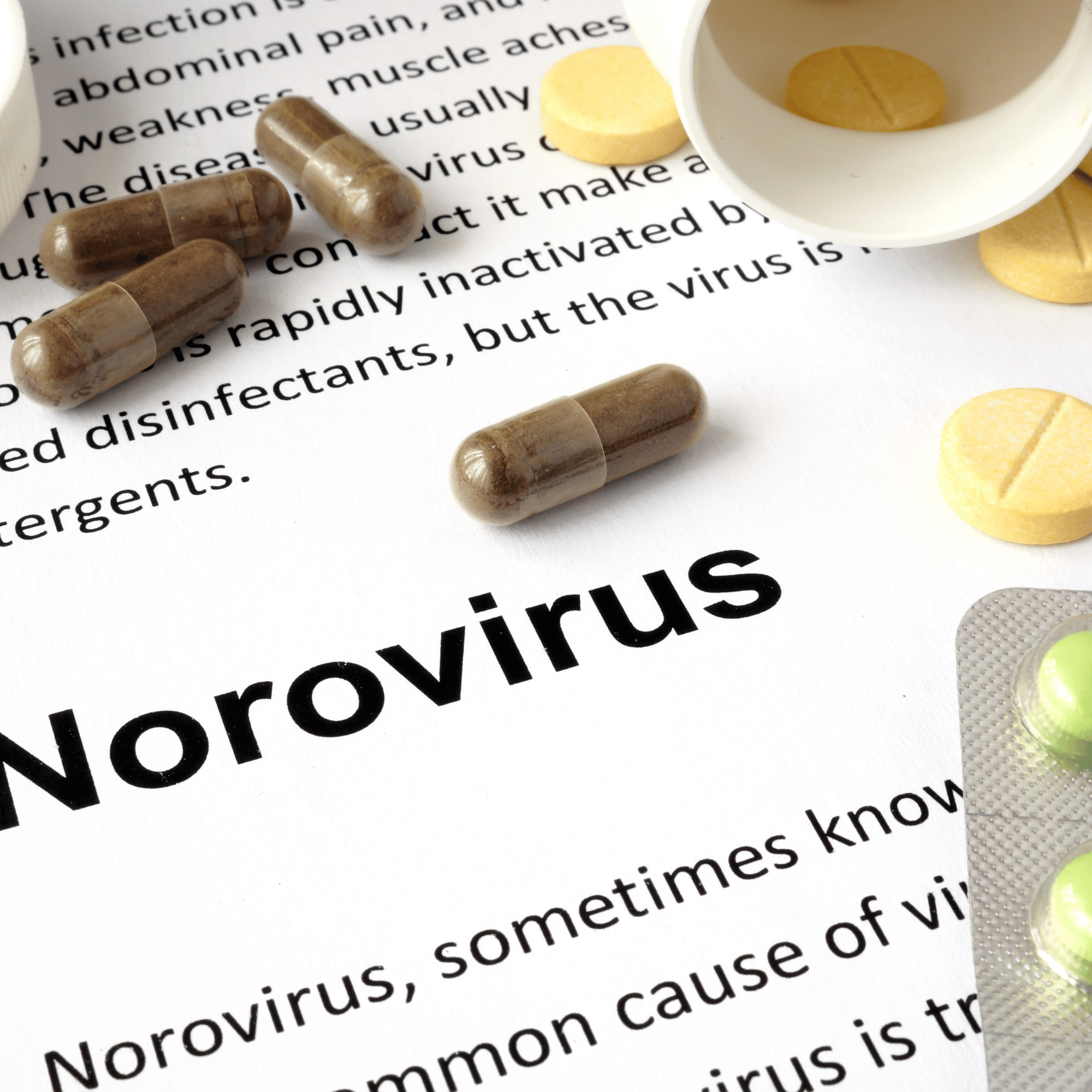 노로바이러스 증상