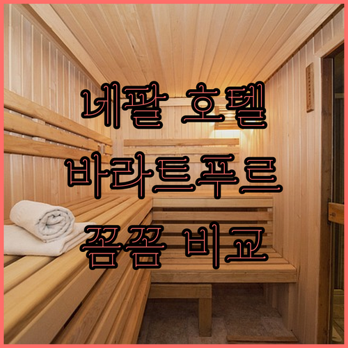 네팔 바라트푸르 호텔 꼼꼼 비교 분석