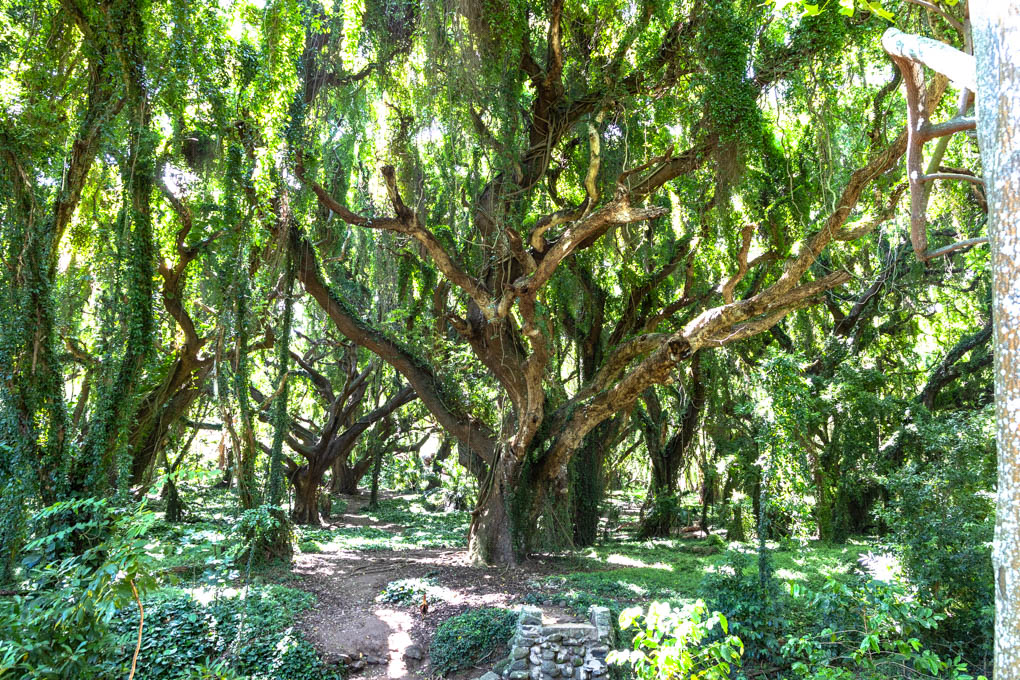마우이 호놀루아 베이