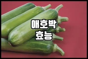 애호박 효능 여름철 보약 같은 채소 정리_23