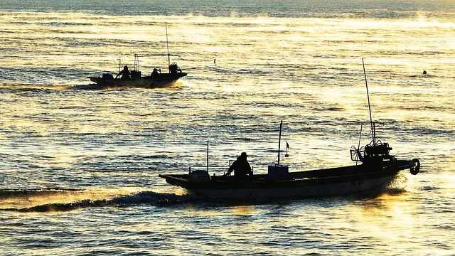 강릉 가볼만한곳 베스트10