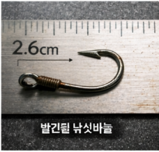 대전 늑대 늑구 탈출부터 생포까지