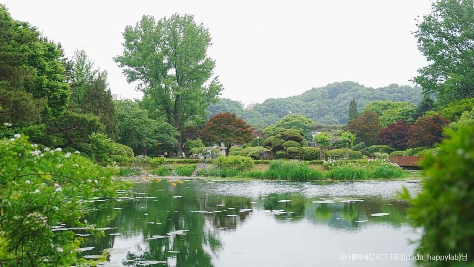 [아이 동반, 서울 근교 여행지]경기도 포천 서운동산｜딸기, 블루베리, 옥수수, 먹이주기, 밤줍기 등 체험 가득한 가족 여행지