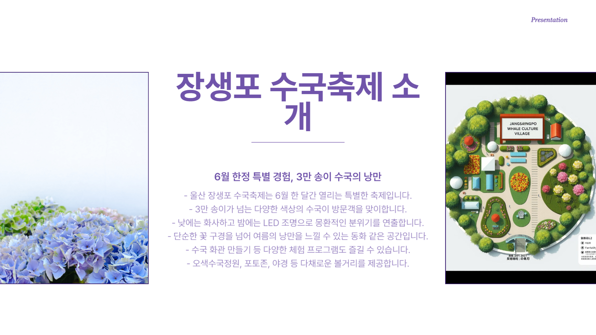 장생포 수국축제