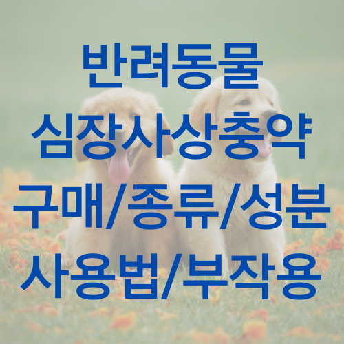 심장사상충약 대표 사진