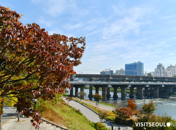 서울 단풍 명소 베스트 6