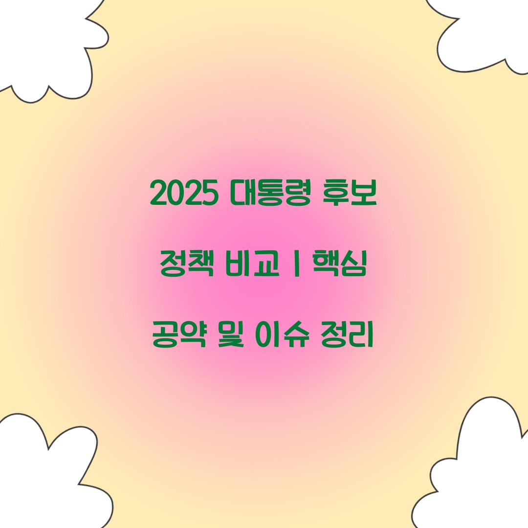 2025 대통령 후보 정책 비교