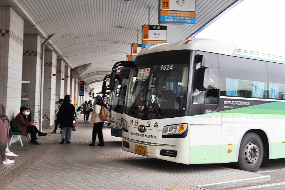 부산 - 경주 시외버스, 고속버스 차이, 터미널 위치