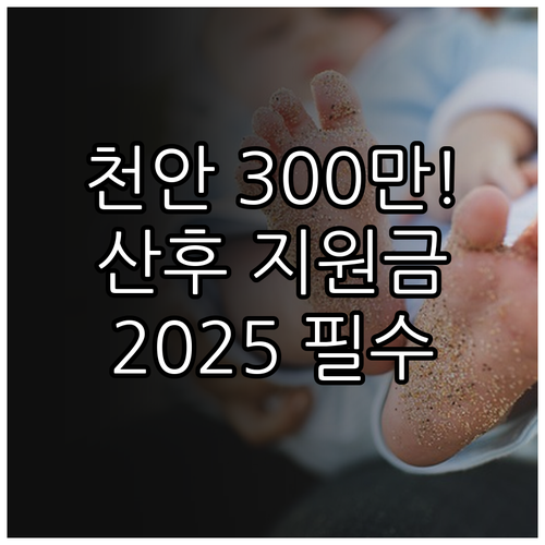 천안시 산후조리 지원금 2025 저소..
