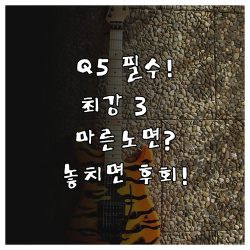 235/55R19 Q5 윈터타이어 추..