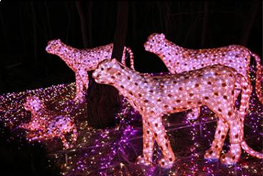 겨울여행 크리스마스여행 청도프로방스빛축제