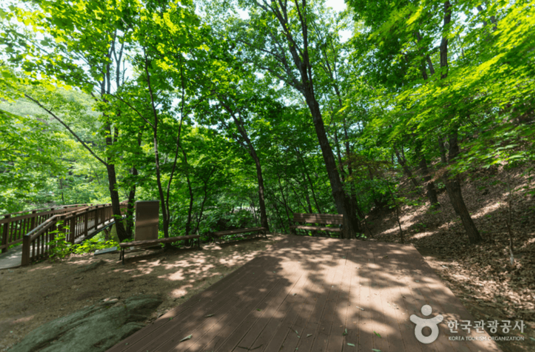 국립 용화산자연휴양림