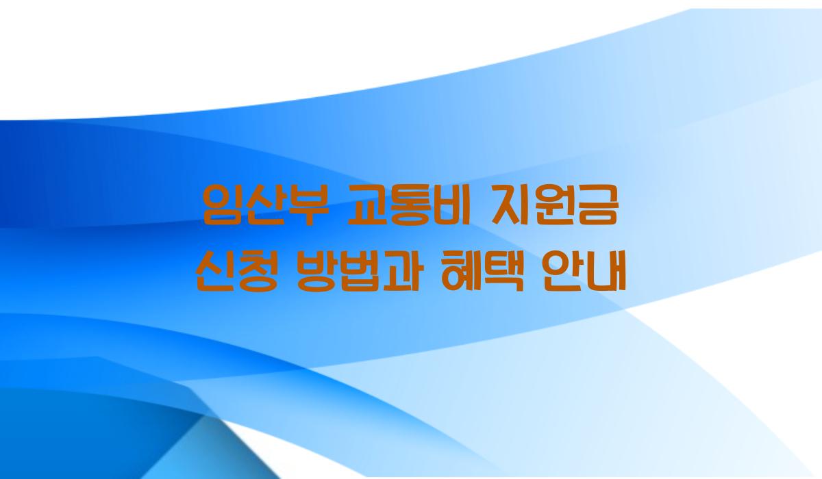 임산부 교통비 지원금