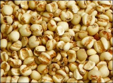 율무 효능과 부작용-3