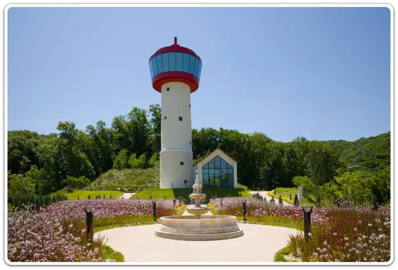 용인-자작나무숲-입장료-운영시간