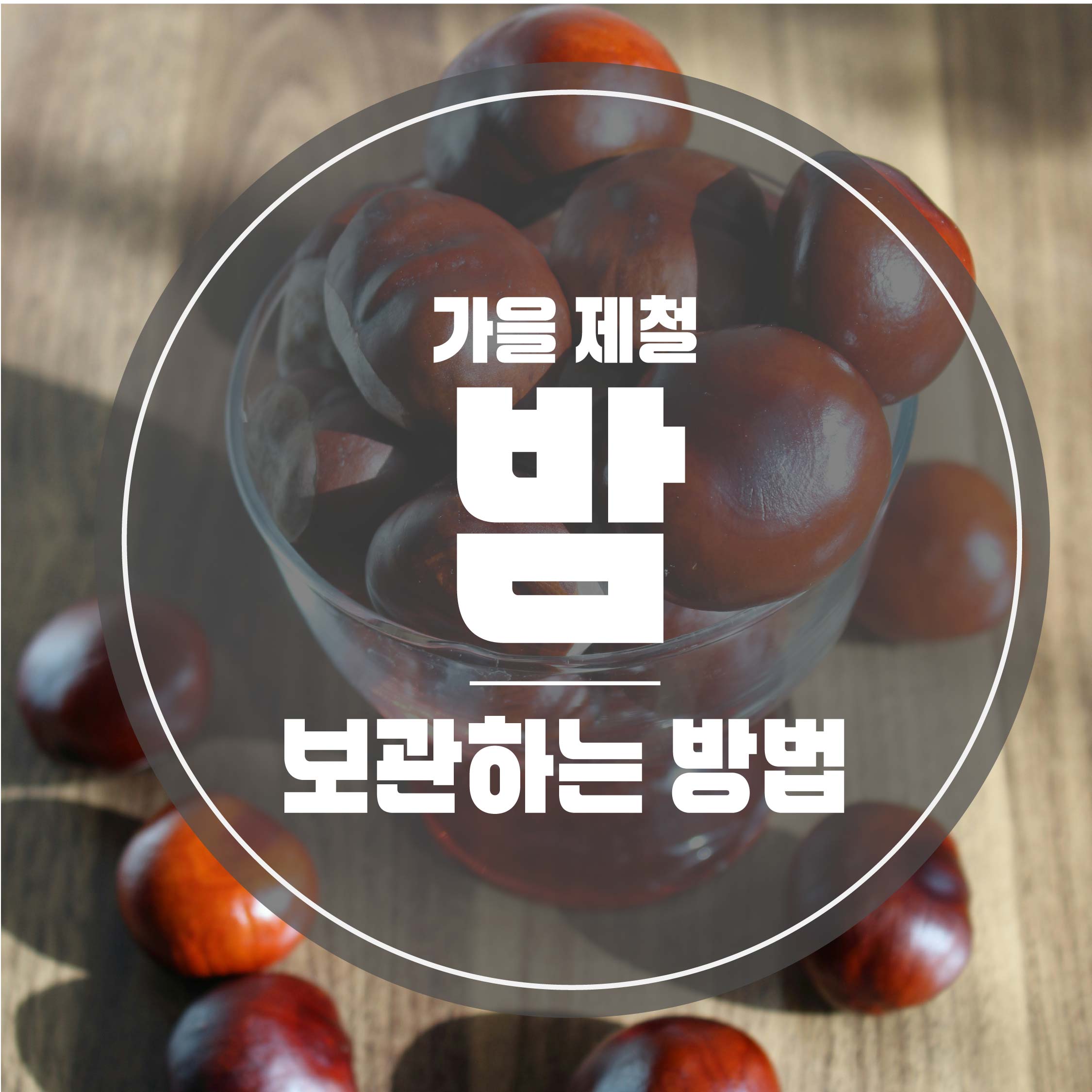 밤 보관하는 방법