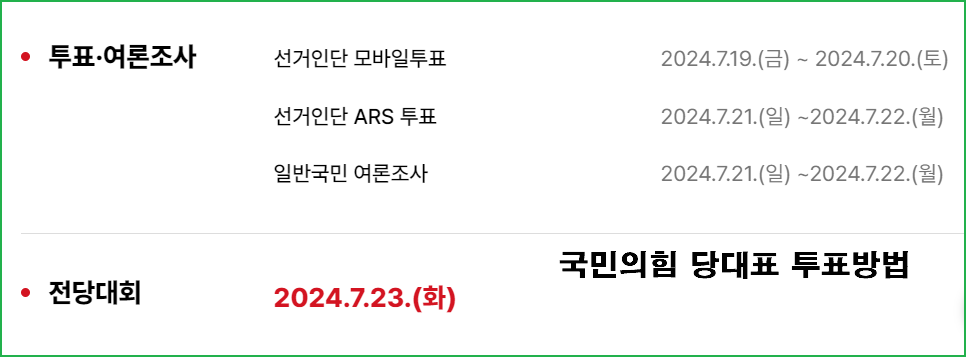 국민의힘 전당대회 일정 당대표 투표방법 선거일 후보공약 갤러리
