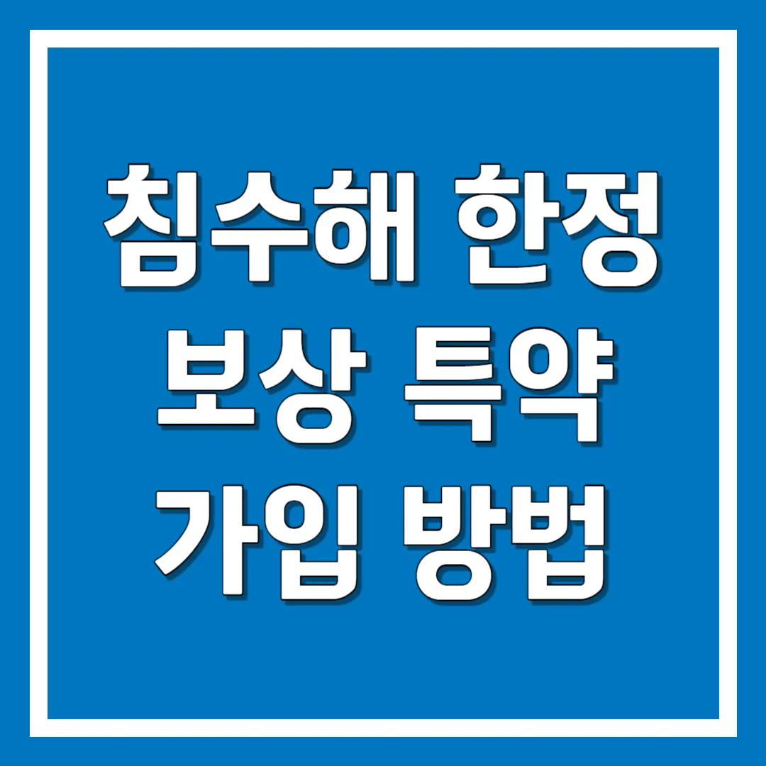침수해 한정 보상 특약 가입 방법 및 특징