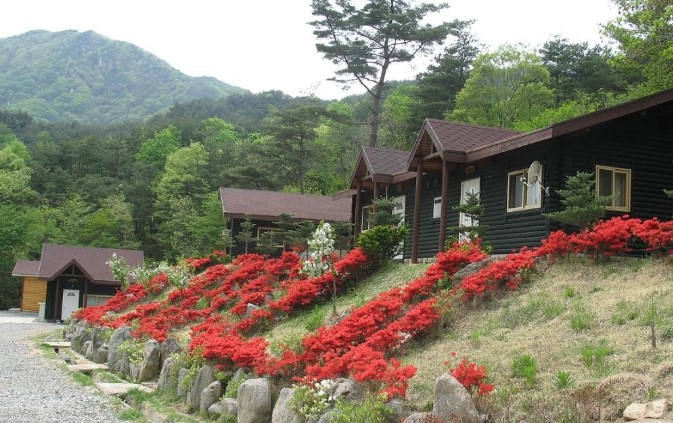 오도산 자연휴양림(3)