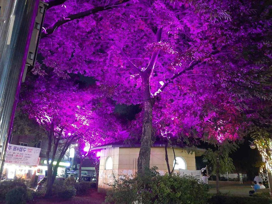 2025 남동 빛의 거리｜만수천&middot;서창지구&middot;도림동 빛축제 총정리 (포토 안내)