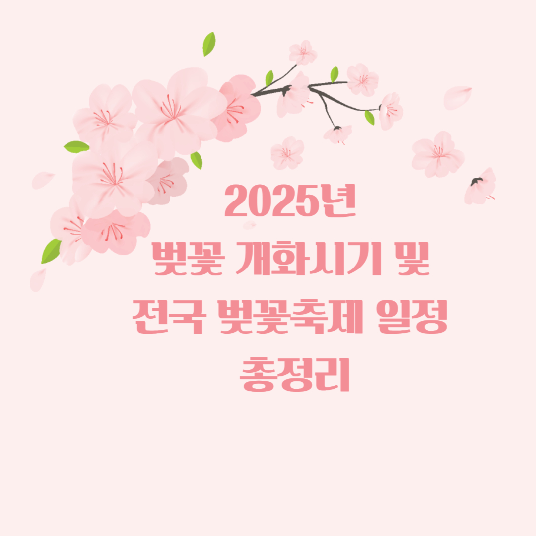2025년 벚꽃 개화시기 및 전국 벚꽃축제 총정리🌸