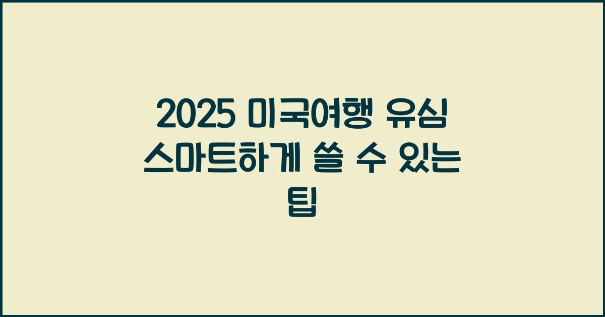 2025 미국여행 유심