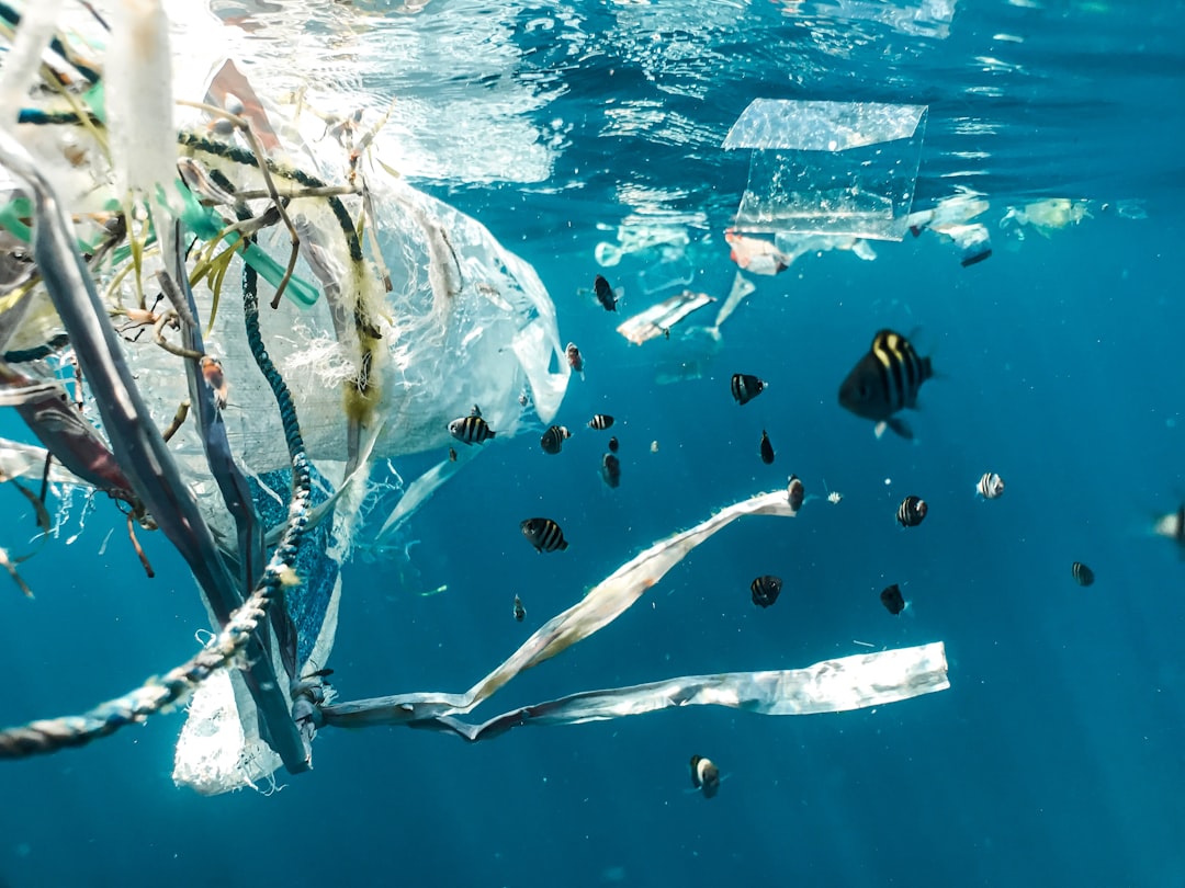 'Large waste'