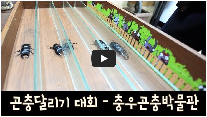 곤충 유튜버 순위 TOP 10 3