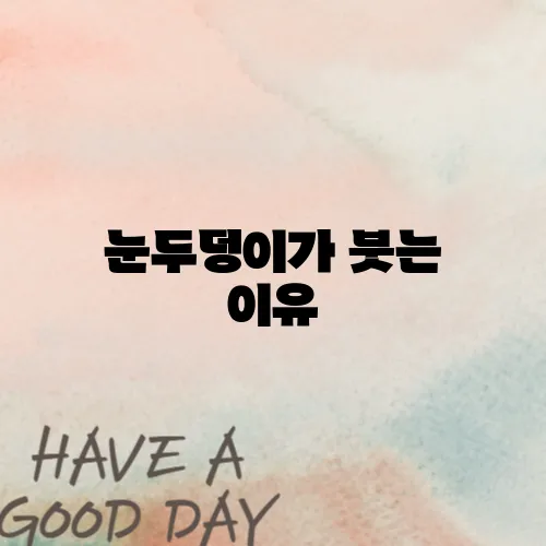 눈두덩이가 붓는 이유