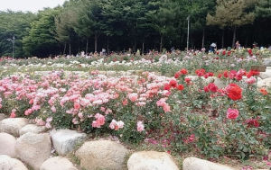 봄여행