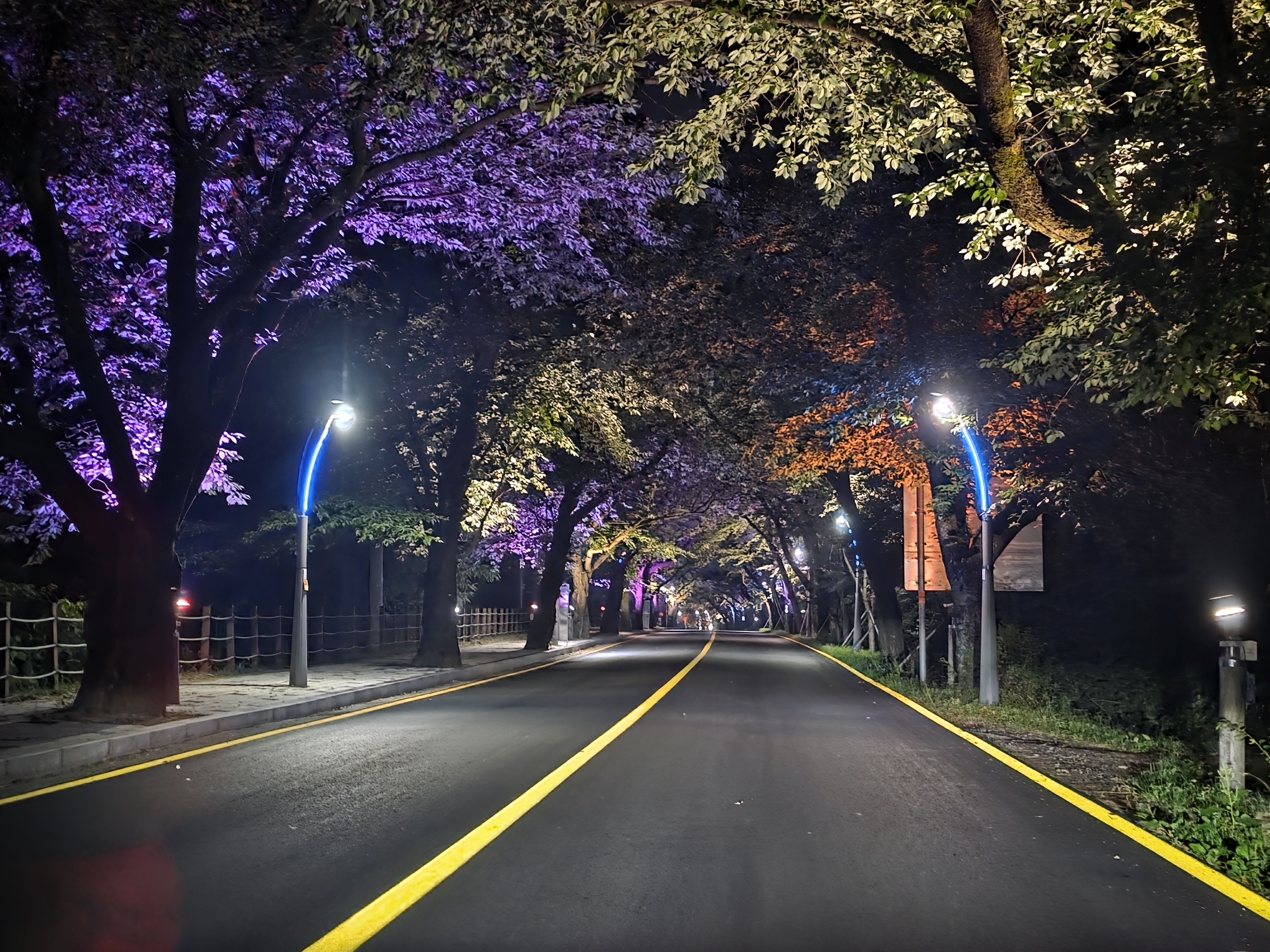북한산 둘레길의 가을밤 풍경, 단풍나무와 가로등 불빛이 어우러진 야간 산책로