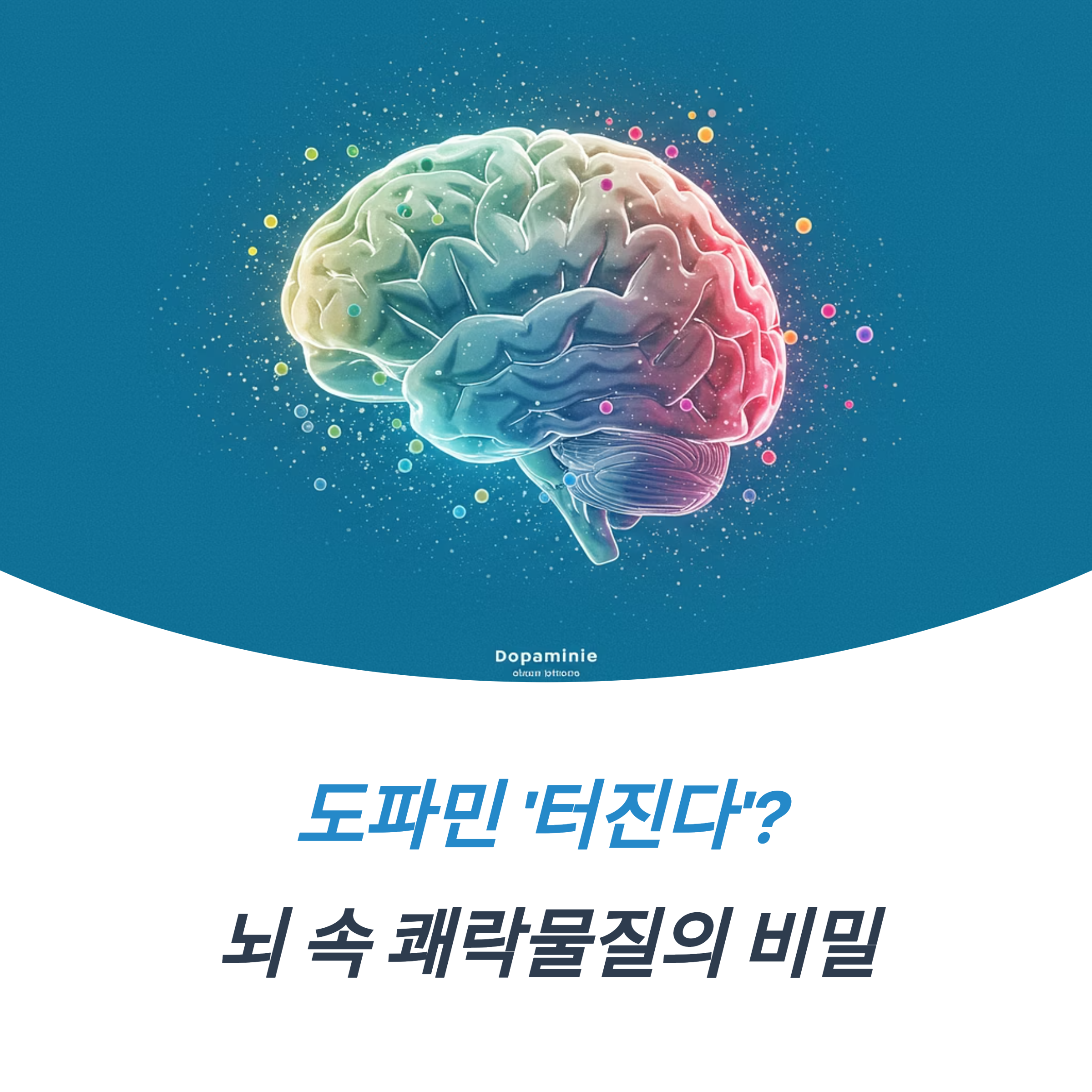 도파민 터진다 뜻 디톡스로 되찾은 일상의 감각