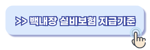 백내장 실비보험 지급기준