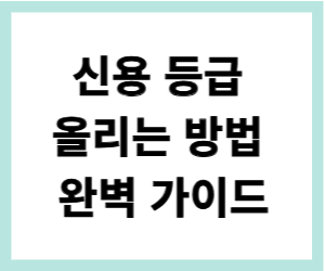 신용 등급 올리는 방법 완벽 가이드