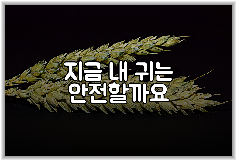 지금 내 귀는 안전할까요