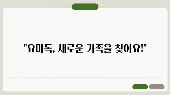 파주강아지무료분양 요믵
