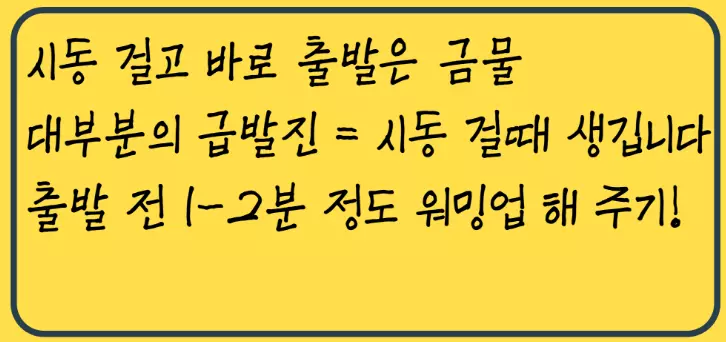 급발진 예방방법