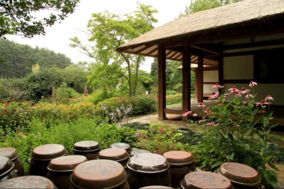 천리포수목원 목련축제