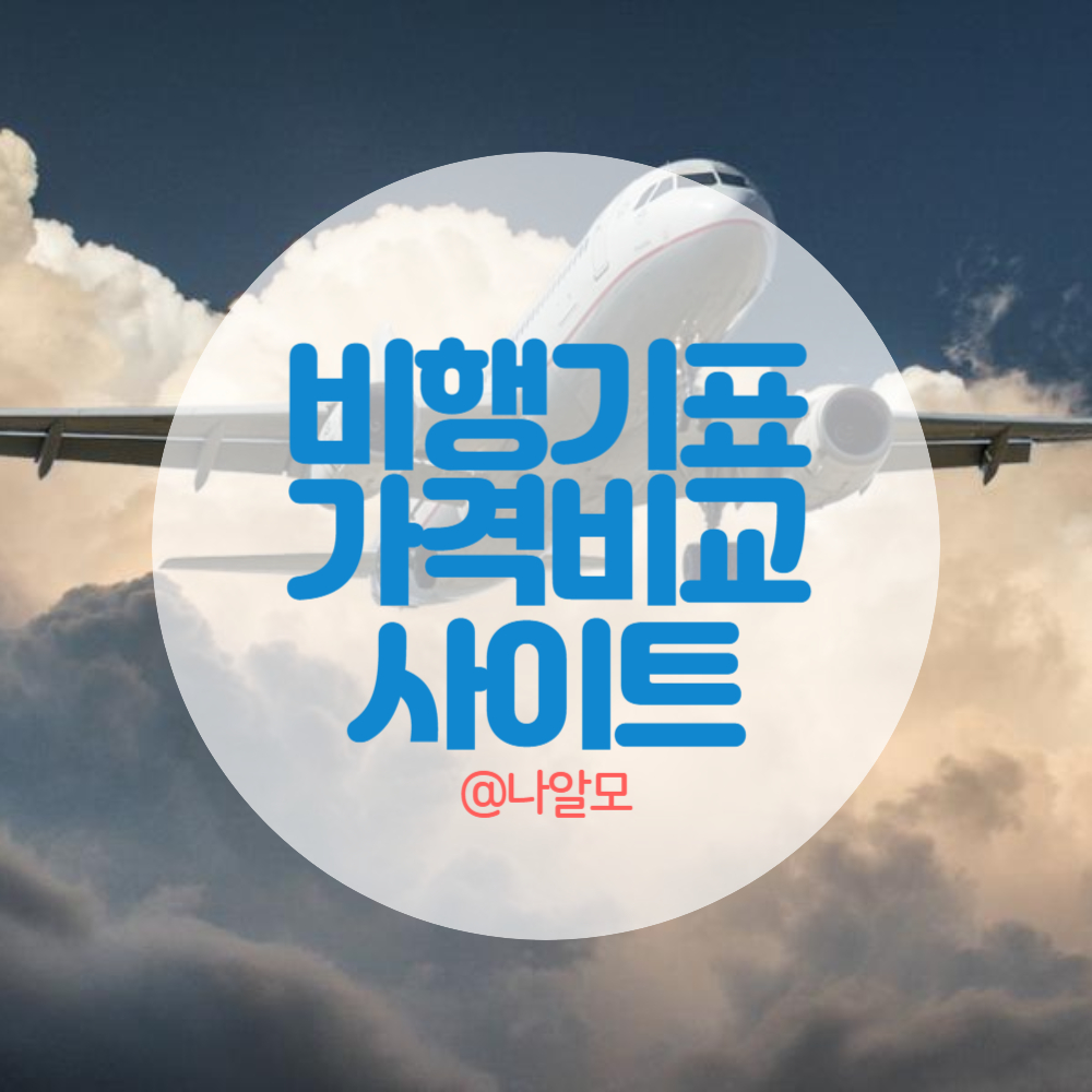 비행기표 가격비교 사이트