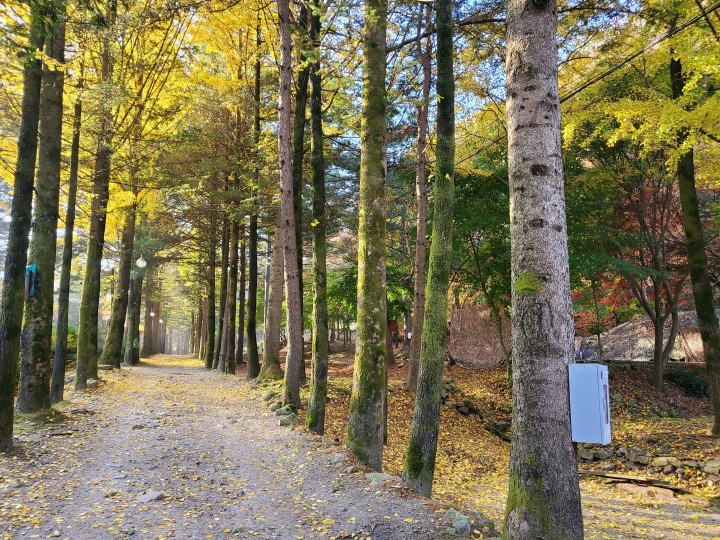 포천 아버지의숲 산정캠프 소개