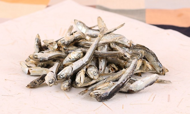 관절염에 좋은 음식