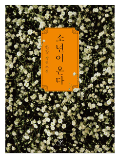 소년이 온다 줄거리: 노벨상 수상자 한강 작품 (아픈 역사를 품은 눈물의 서사 소설)