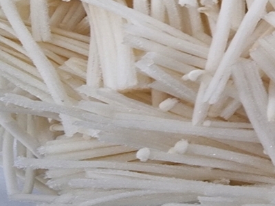 팽이버섯 사진31