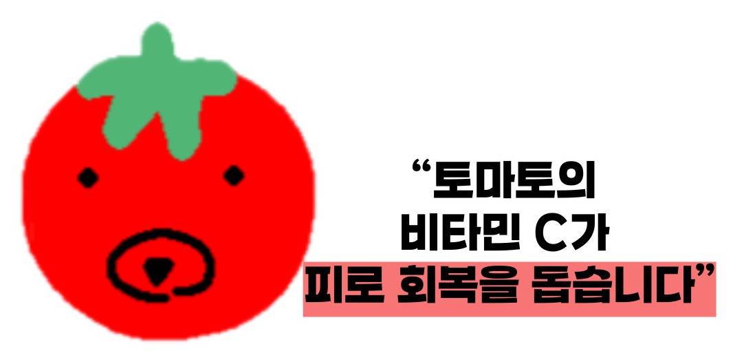 토마토 효능