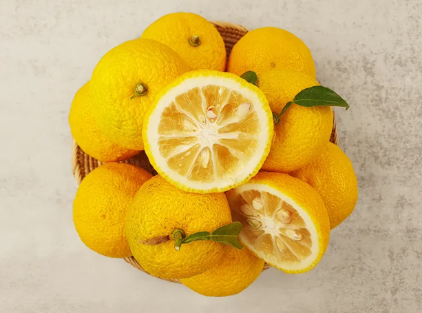 상큼하게 생긴 유자