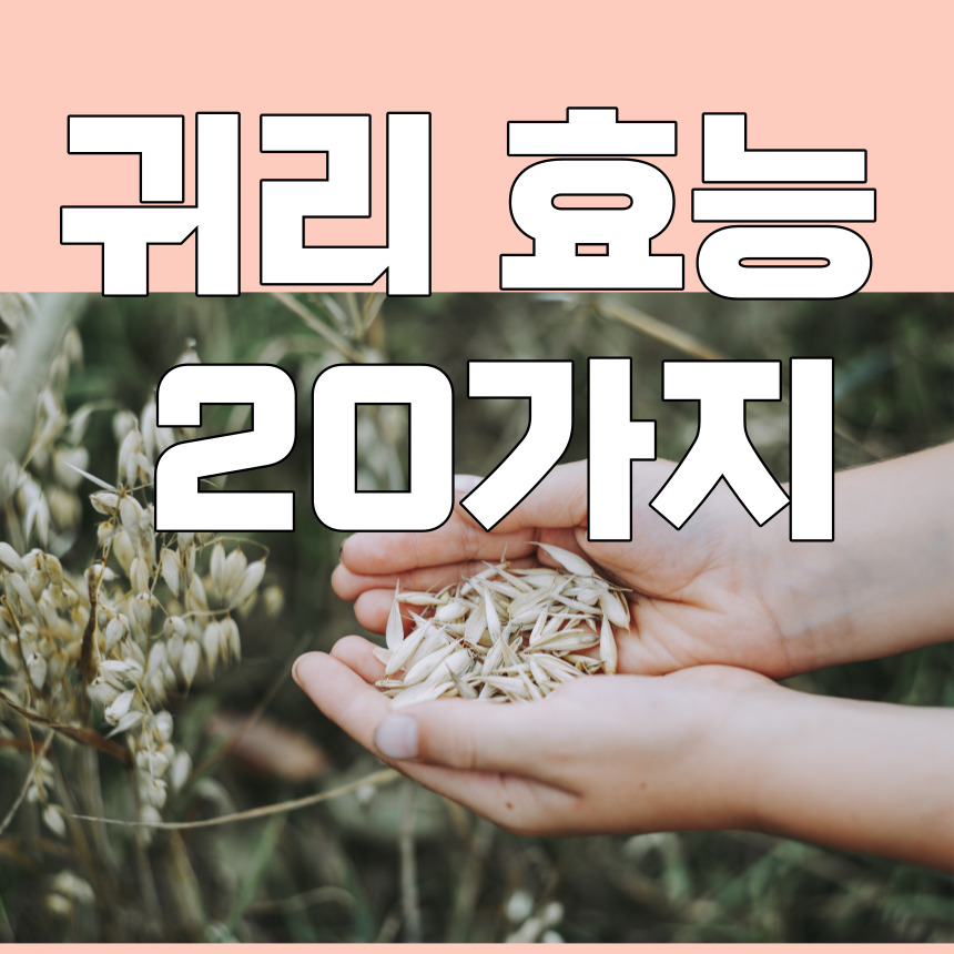 귀리 효능