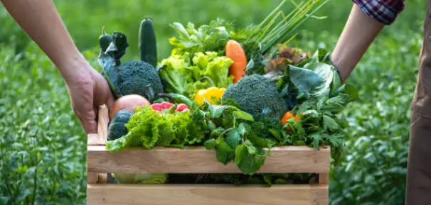 로컬푸드 관련 사진