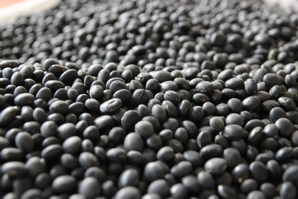 뇌에 좋은 10가지 음식